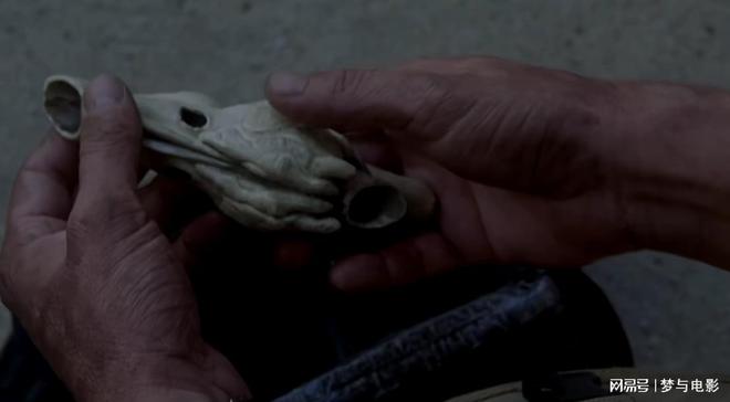 图片[9] - 侏罗纪世界最后的沧龙完整无删减资源[BD720P完整版]迅雷BT完整下载 - 影视资源论坛 - 文件资源 - 小轻秀场