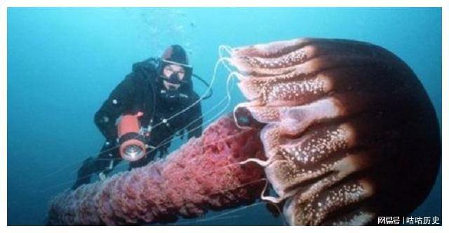 昨梦梦到别人在干土里捞鱼，探索潜意识中的隐秘意象