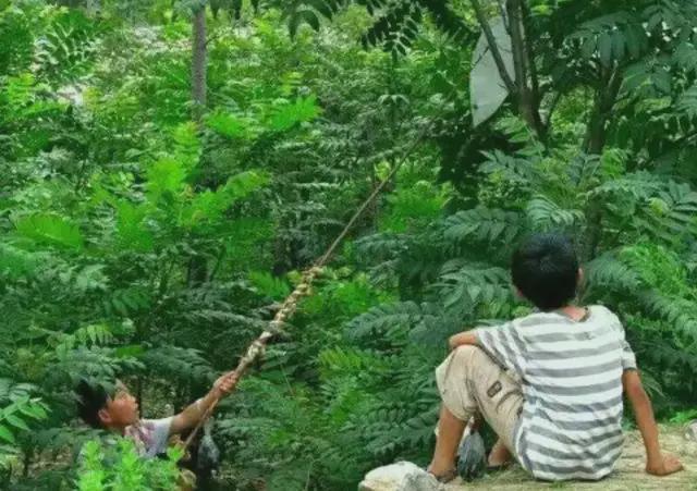 图片[5]-八、九十年代的“三伏天”，没有空调是如何度过的？为何感觉不怎么热-龙罡博客