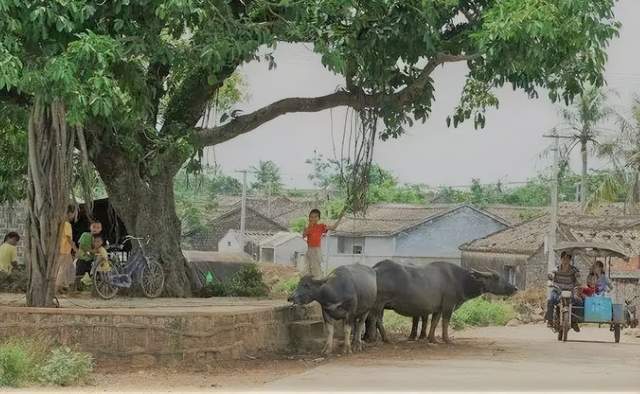 图片[6]-八、九十年代的“三伏天”，没有空调是如何度过的？为何感觉不怎么热-龙罡博客