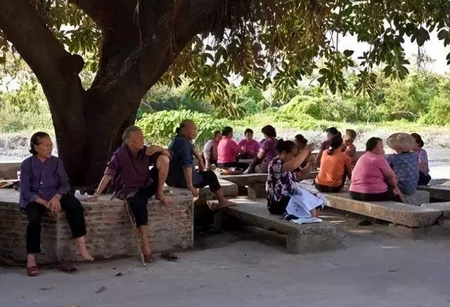 图片[4]-八、九十年代的“三伏天”，没有空调是如何度过的？为何感觉不怎么热-龙罡博客