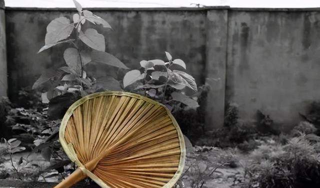 图片[1]-八、九十年代的“三伏天”，没有空调是如何度过的？为何感觉不怎么热-龙罡博客