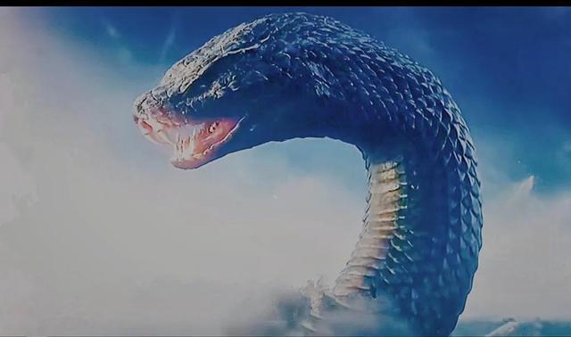 孕妇总是梦见蛇，寓意与心理解析的深度探索