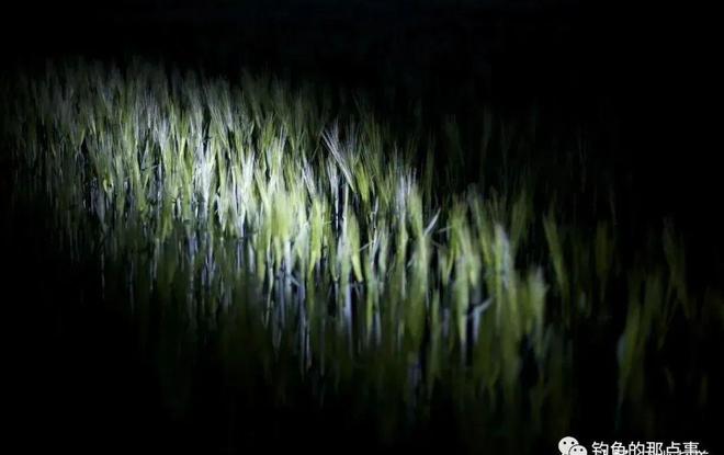 梦境之谜，梦见别人钓鱼的深层解读与心理启示