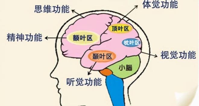 梦见亲人坐牢并得重病，梦境背后的深层含义与心理解析