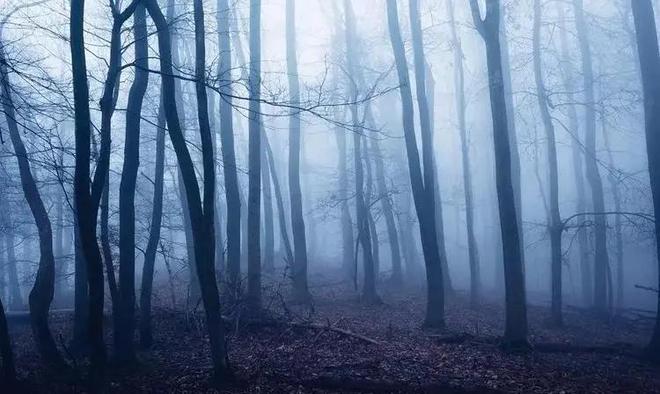 梦到已过世的亲人在梦中活着，探索梦境与现实的交织