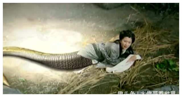 梦境迷雾，解析梦到棺材、死人与龙虾的深层含义