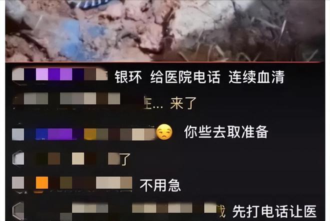梦境迷踪，解析做梦梦到蛇追我的深层含义与心理暗示