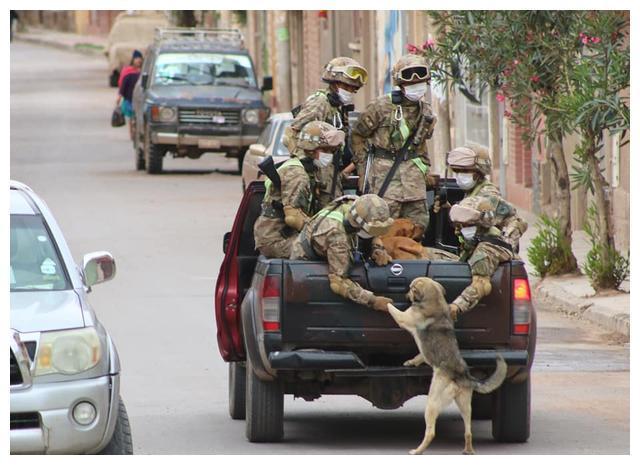 梦境的守护者，解析梦见军人、军犬、军车的深层含义