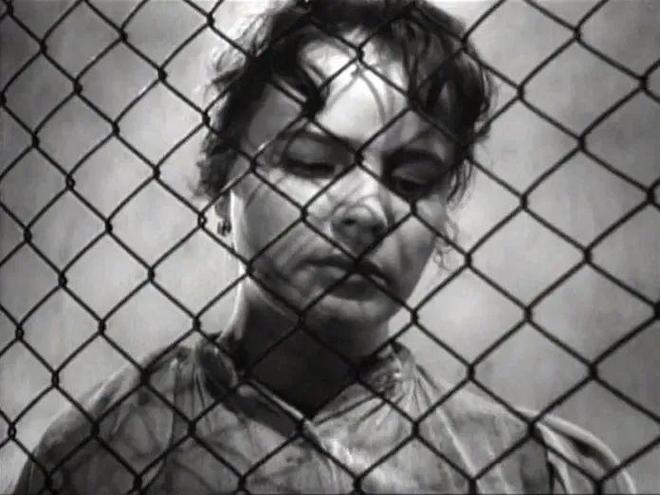 梦回囚笼，前夫之言的深意与自我救赎