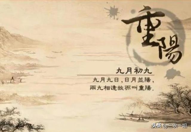 梦中的智者，与陌生老人的不解之缘