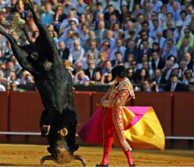 飞机杯到底是什么样的体验今天天气就那样，我们聊聊飞机杯吧20