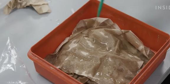 美国博物馆收藏上千万个恐怖标本