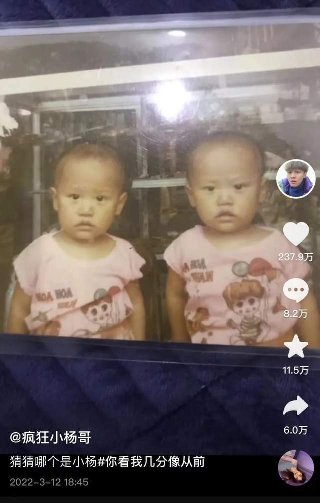 直播啃拖鞋，花 1 亿买楼，疯狂小杨哥的疯狂帝国