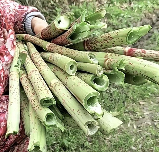 獲鹿：一京、二衛(wèi)、三通洲，趕不上獲鹿旱碼頭，享有九省通衢之稱
