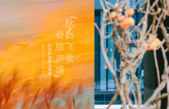 梦境启示，河干泥鳅涌现，寓意深远的心灵探索之旅