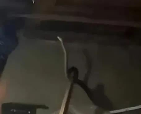 梦境迷踪，昨晚梦到蛇咬自己——是凶兆还是吉兆的深度解析