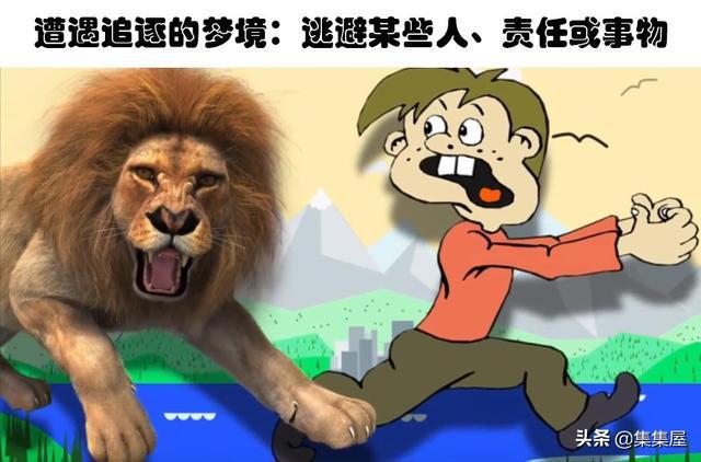 梦境解析，晚上经常梦见猫狗，为何睡不好？