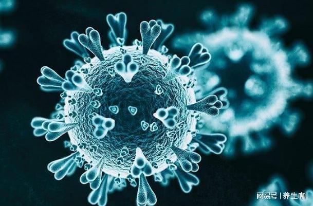 梦境迷离，解析梦见已故亲人变异的深层含义与心理探索