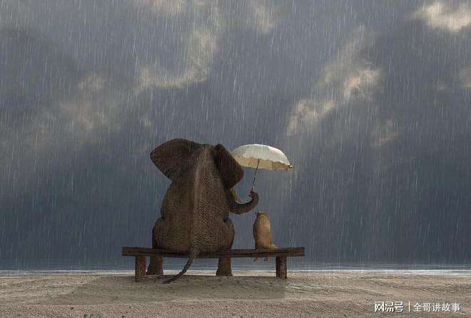 梦见给死去的父母钱，解读梦境背后的情感与寓意