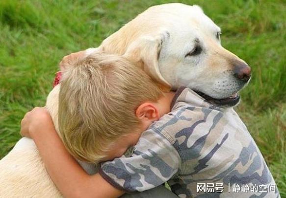 梦境的警示，解读梦见狗咬了小孩，我把狗打死了的深层含义
