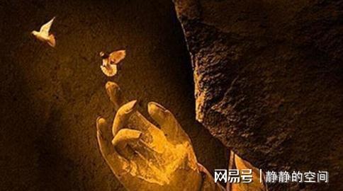 梦境解析，早几晚梦见大白蛇，预兆与深层心理解析