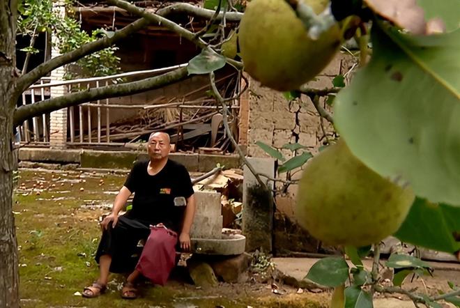 梦境解析，梦到梨树倒了，手里的梨摔碎了——象征与寓意的深度探索