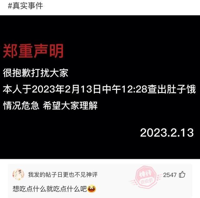 【优质排行】女生政史地的最佳选择：谁是你最佳盟友？
