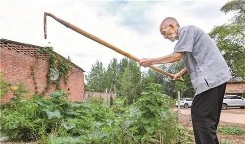梦见家里给老人做的棺材搬走了，寓意与解析