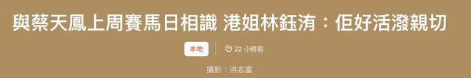 香江名媛碎尸案续：众星悼念蔡天凤，现任承诺照顾其子女