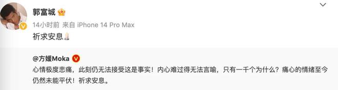 香江名媛碎尸案续：众星悼念蔡天凤，现任承诺照顾其子女