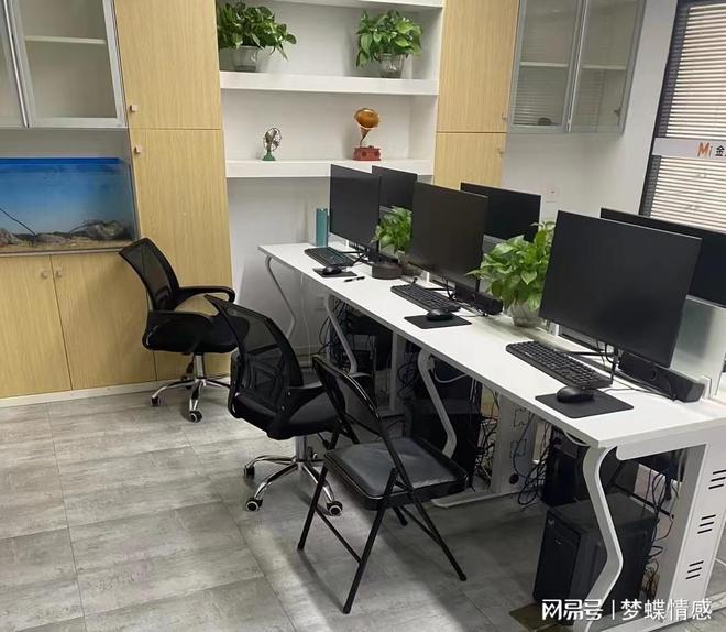 橙河网络：想开工作室做什么项目好？