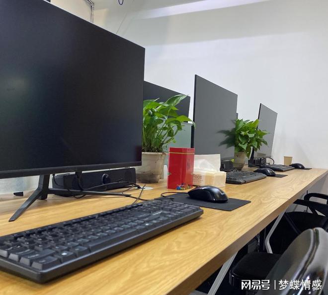 橙河网络：想开工作室做什么项目好？