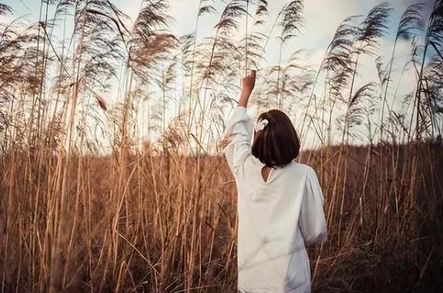 和前男友分手后为什么总是梦到他，梦境背后的情感解析与自我疗愈