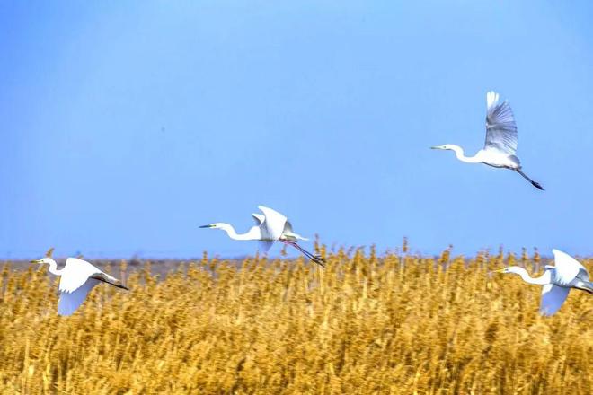 梦境的牵绊，江苏家庭对迁徙新疆的深切忧虑与不舍