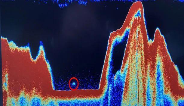 梦到去坟场，探索潜意识深处的秘密与心灵之旅