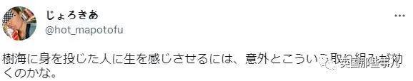 飞机杯在日本售价有人往日本自杀森林投放大量飞机杯，想让人进入贤者模式，从而放弃自杀？？插图15