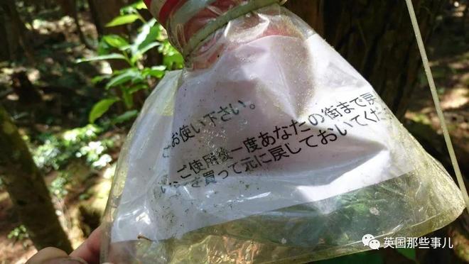 飞机杯在日本售价有人往日本自杀森林投放大量飞机杯，想让人进入贤者模式，从而放弃自杀？？插图12