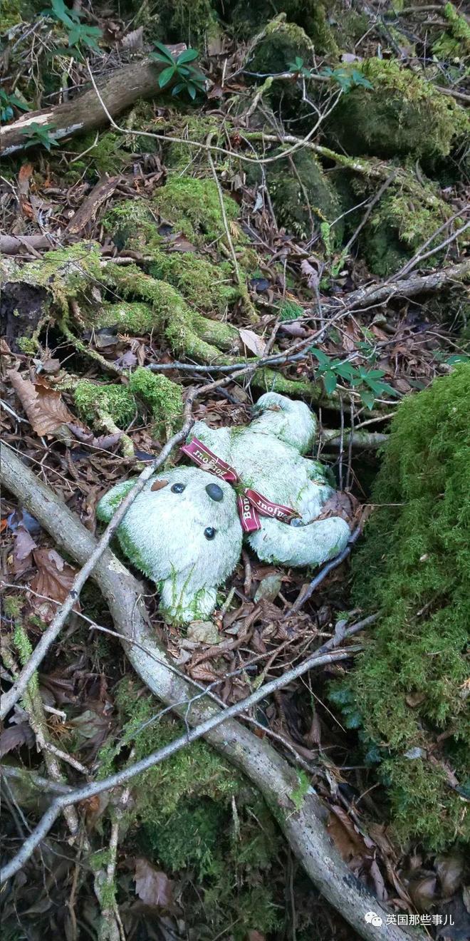 飞机杯在日本售价有人往日本自杀森林投放大量飞机杯，想让人进入贤者模式，从而放弃自杀？？插图6