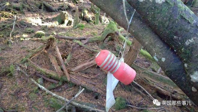 飞机杯在日本售价有人往日本自杀森林投放大量飞机杯，想让人进入贤者模式，从而放弃自杀？？插图13