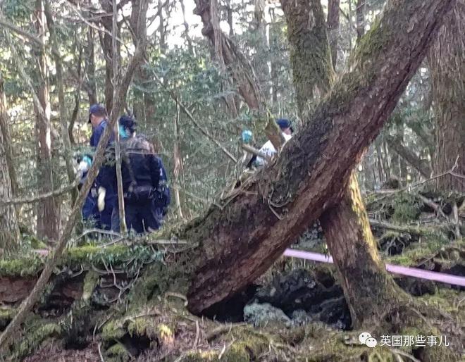 飞机杯在日本售价有人往日本自杀森林投放大量飞机杯，想让人进入贤者模式，从而放弃自杀？？插图2