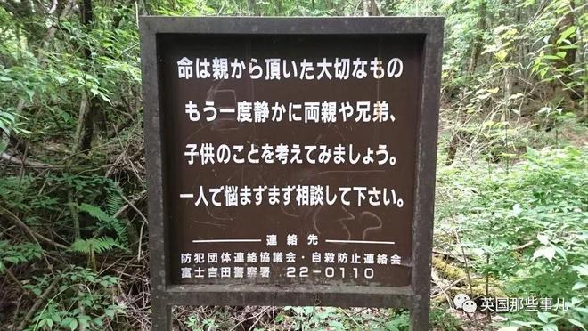 飞机杯在日本售价有人往日本自杀森林投放大量飞机杯，想让人进入贤者模式，从而放弃自杀？？插图1