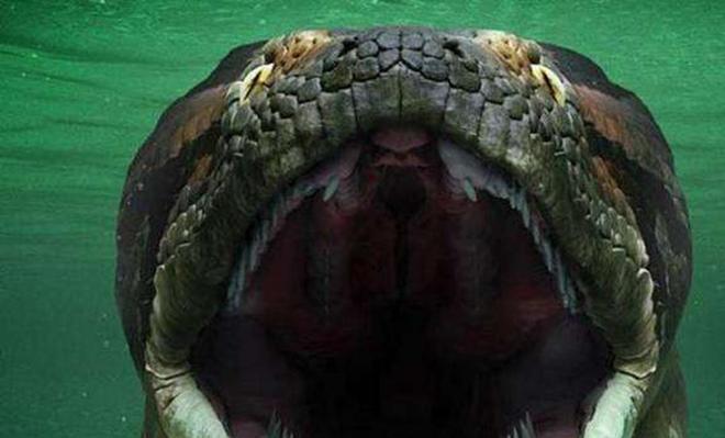 梦境交织，蛇、大象与乌龟的奇异相遇