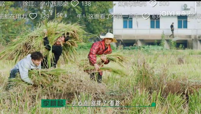 从豆瓣8.4到9.0分，这群认真种地的少年们，值得被所有人看见