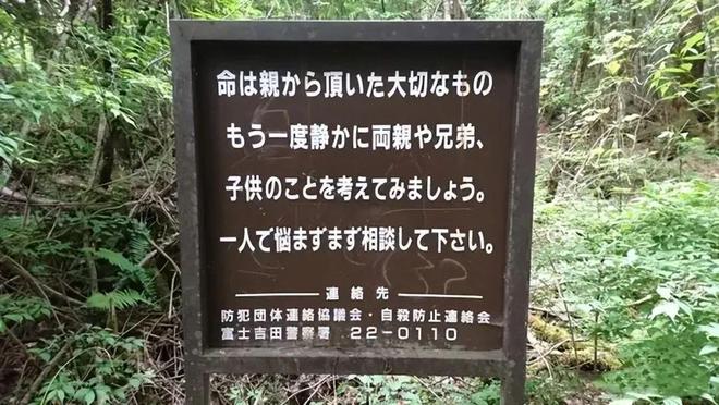劝解轻生人的话为了劝阻轻生者，日本自杀森林挂满飞机杯插图
