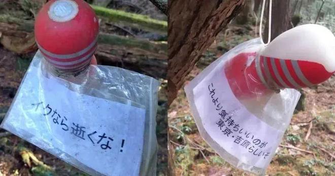 劝解轻生人的话为了劝阻轻生者，日本自杀森林挂满飞机杯插图1