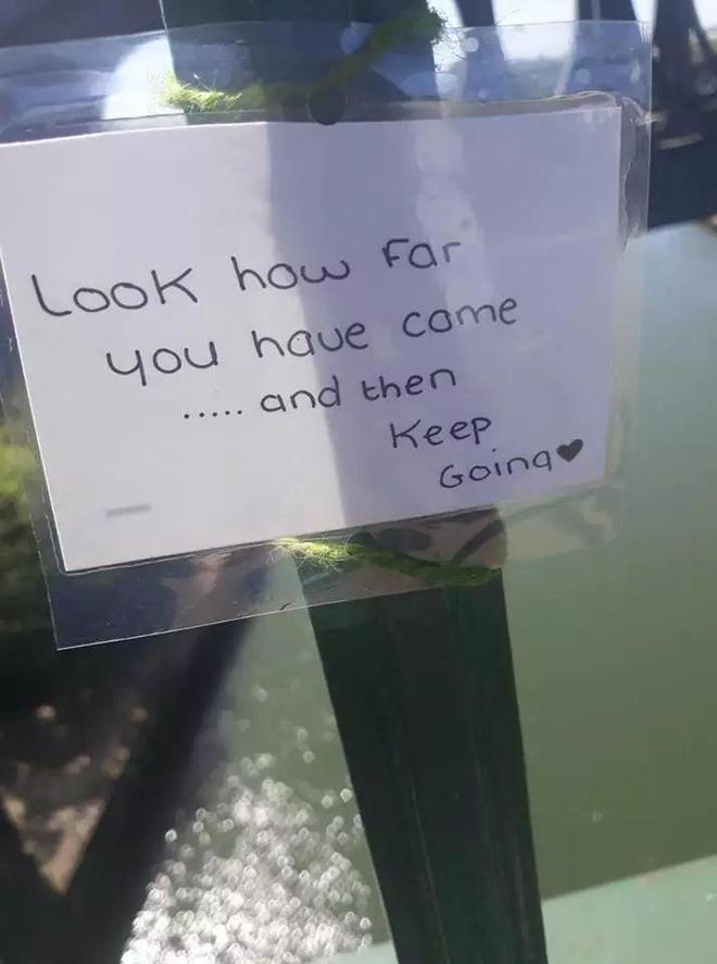 劝解轻生人的话为了劝阻轻生者，日本自杀森林挂满飞机杯插图11