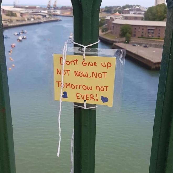 劝解轻生人的话为了劝阻轻生者，日本自杀森林挂满飞机杯插图12