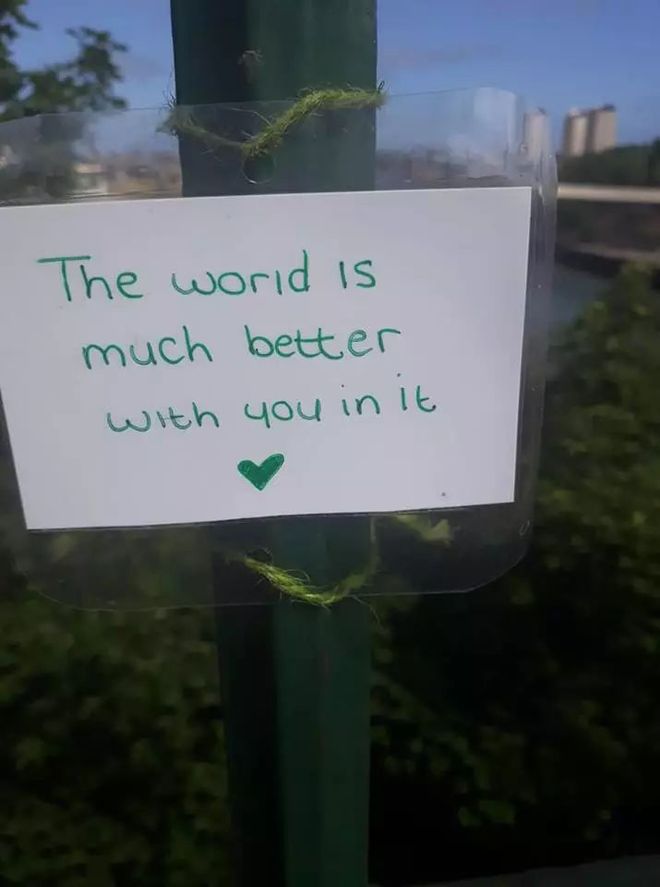 劝解轻生人的话为了劝阻轻生者，日本自杀森林挂满飞机杯插图8