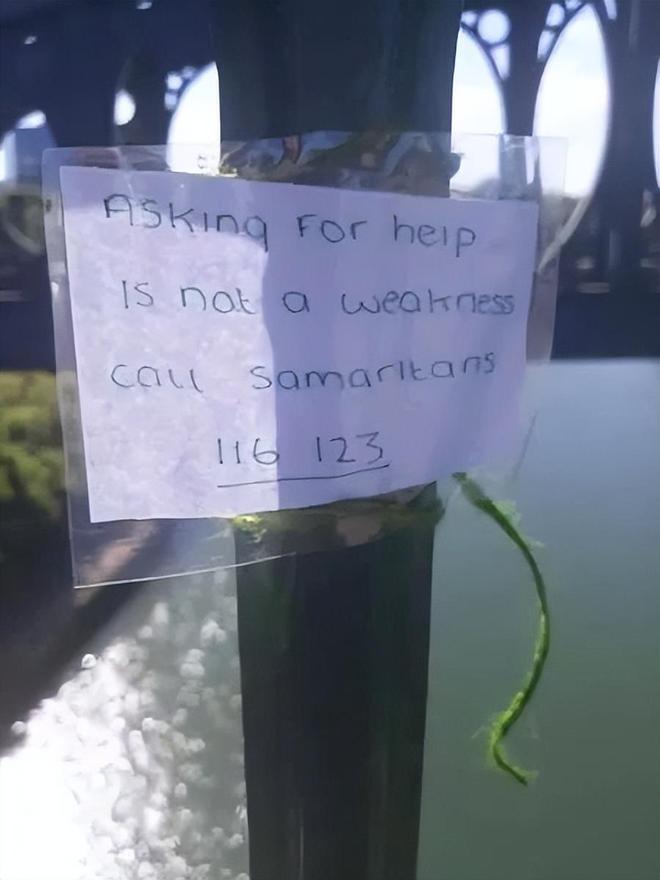 劝解轻生人的话为了劝阻轻生者，日本自杀森林挂满飞机杯插图7